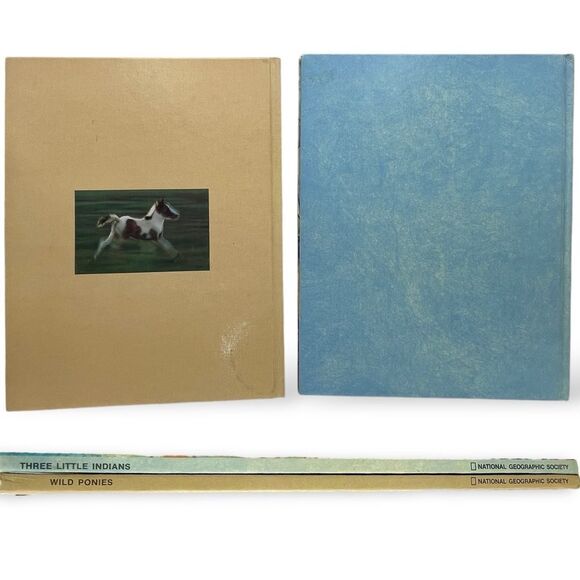 Three Little Indians Wild Ponies Assateague Island National Geographic Books - Picture 2 of 16